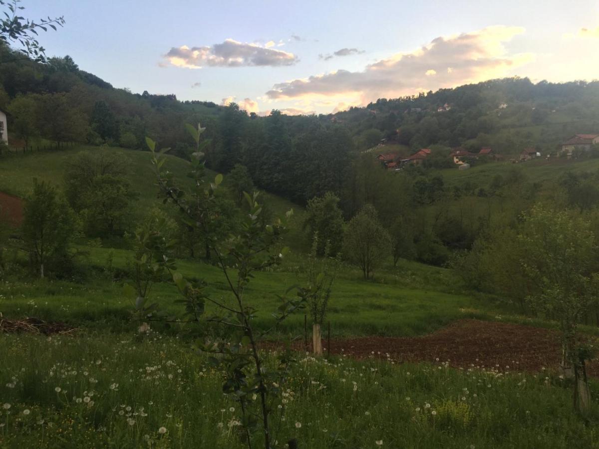 Dolores Tesanj Εξωτερικό φωτογραφία