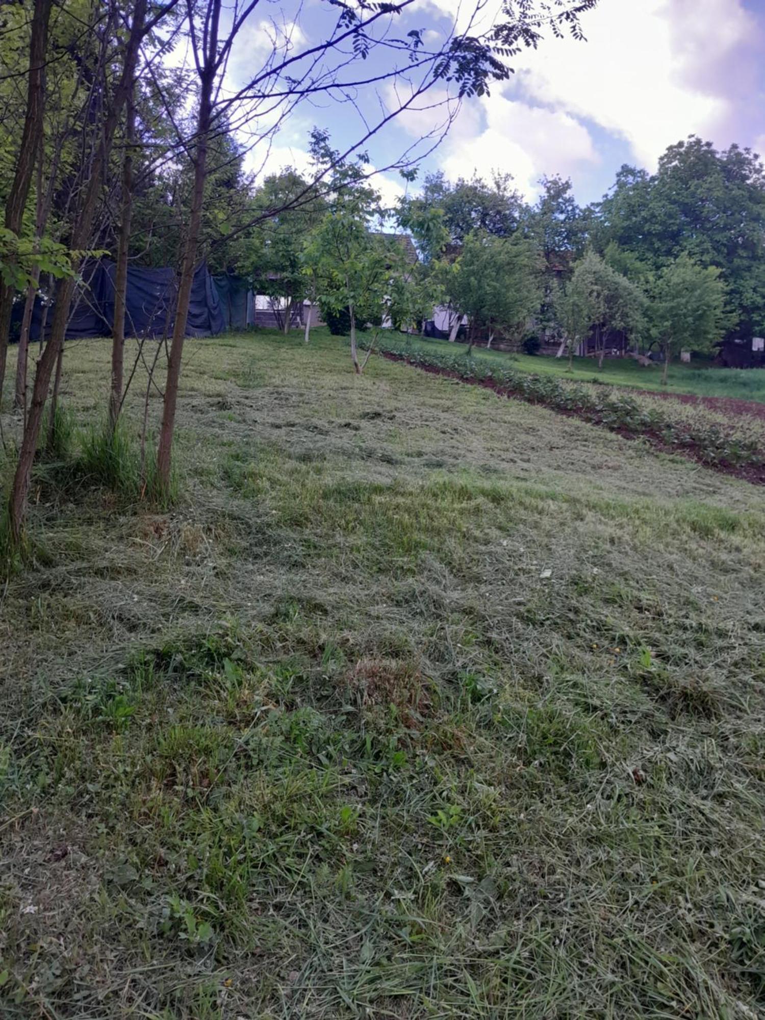 Dolores Tesanj Εξωτερικό φωτογραφία